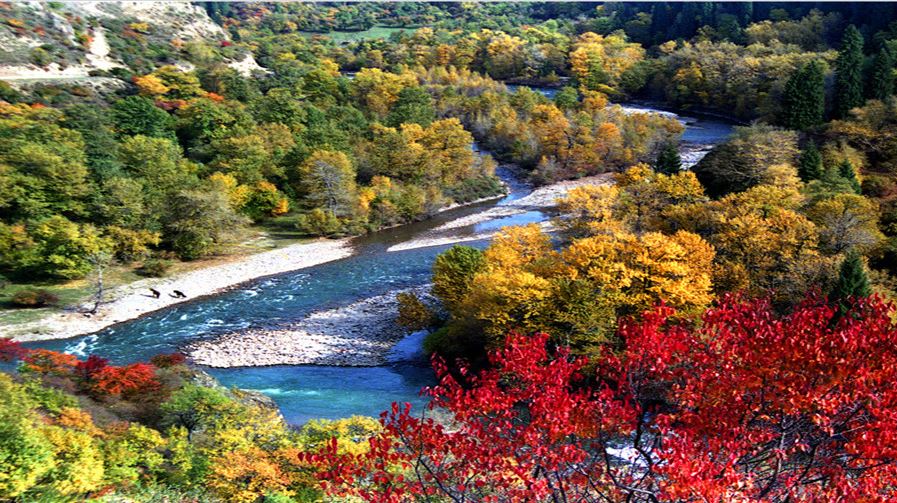 Qiaxi Forest Park